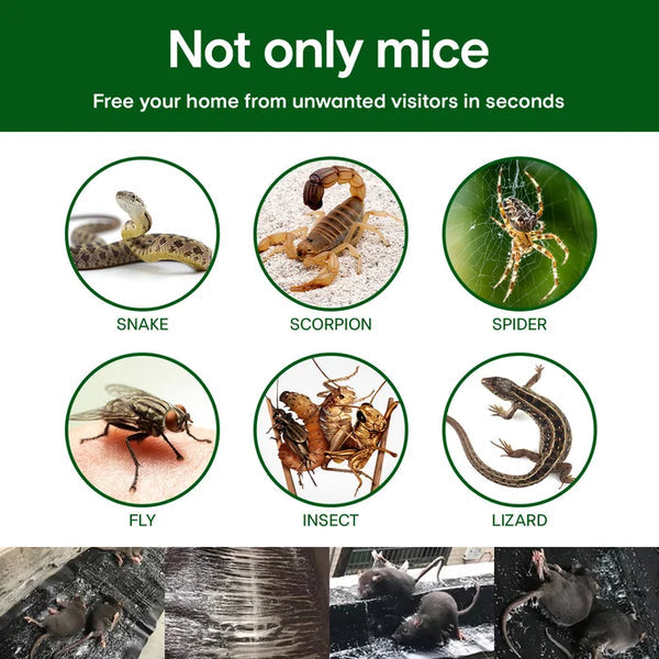 Veľká lepiaca pasca na myši